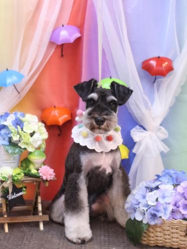 20230610ココくん